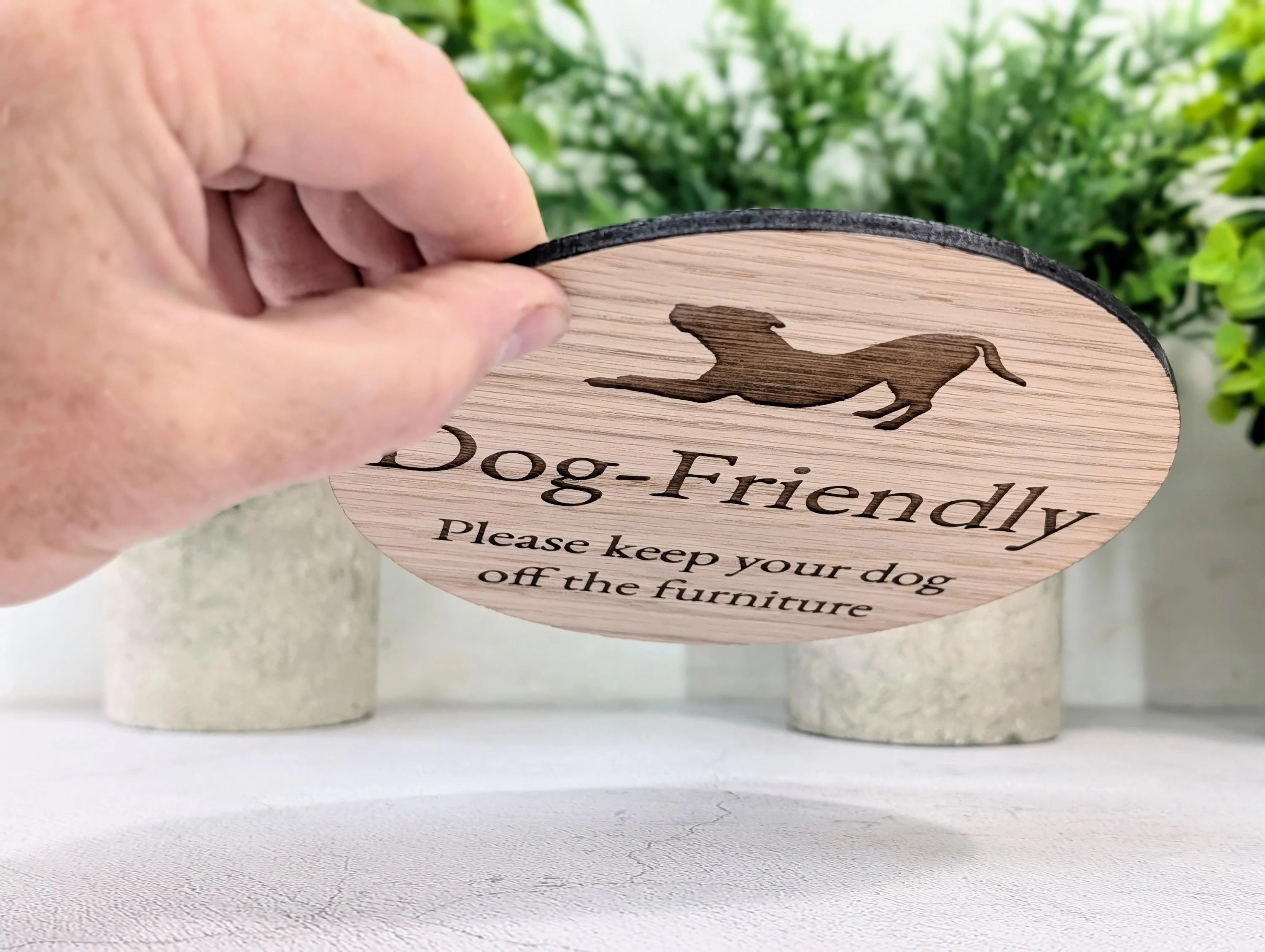 Dog Friendly Sign – Keep Dogs Off Furniture, Circular Oak Veneered Indoor Sign, Handmade in Wales, Plastic-Free Packaging, Pub, B&B, etc - Image 3