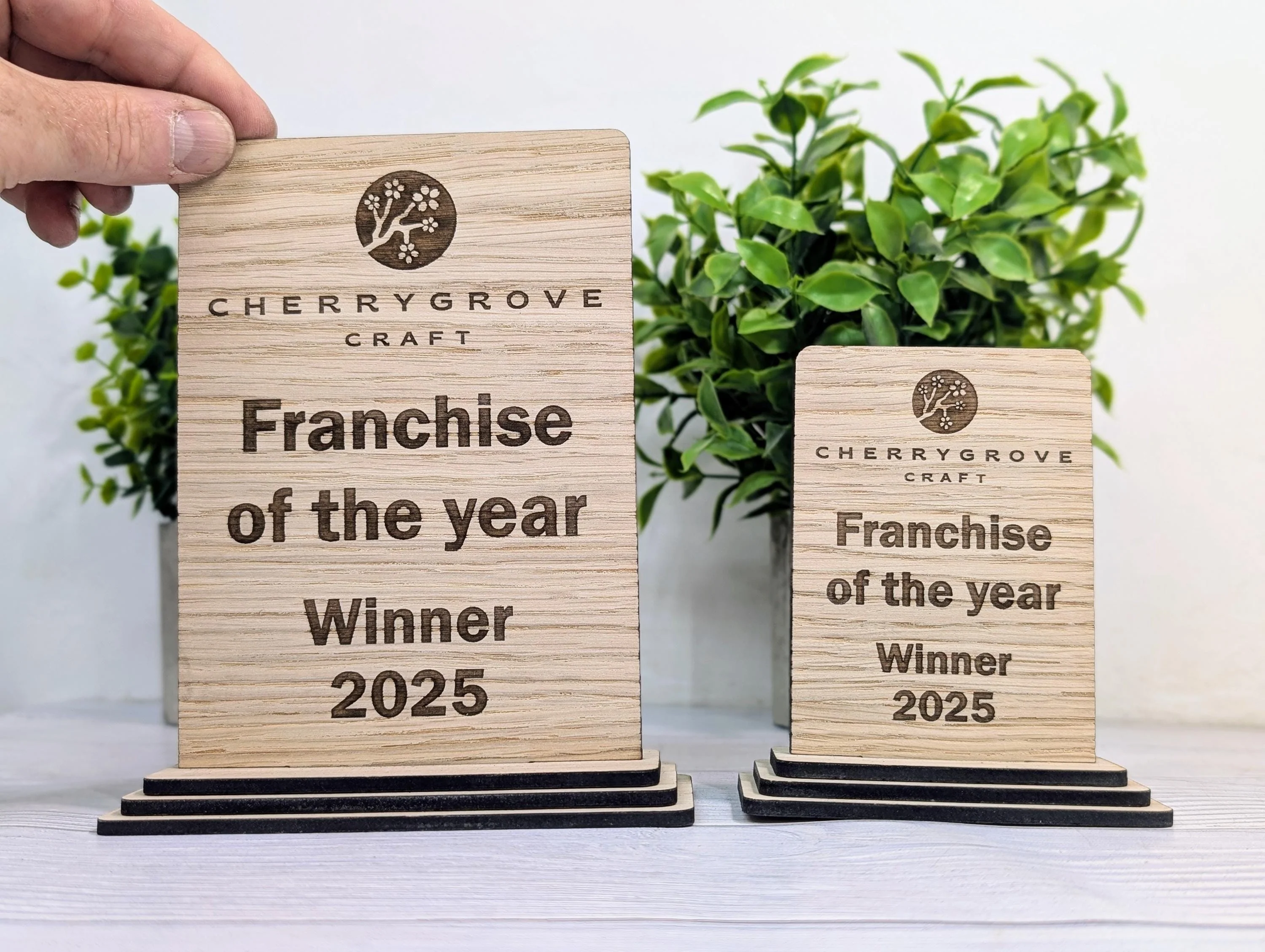 Freestanding Wooden Business Award Trophy – Custom Text & Logo – Franchise of the Year Example – Eco Friendly, Flat Pack, 2 Sizes