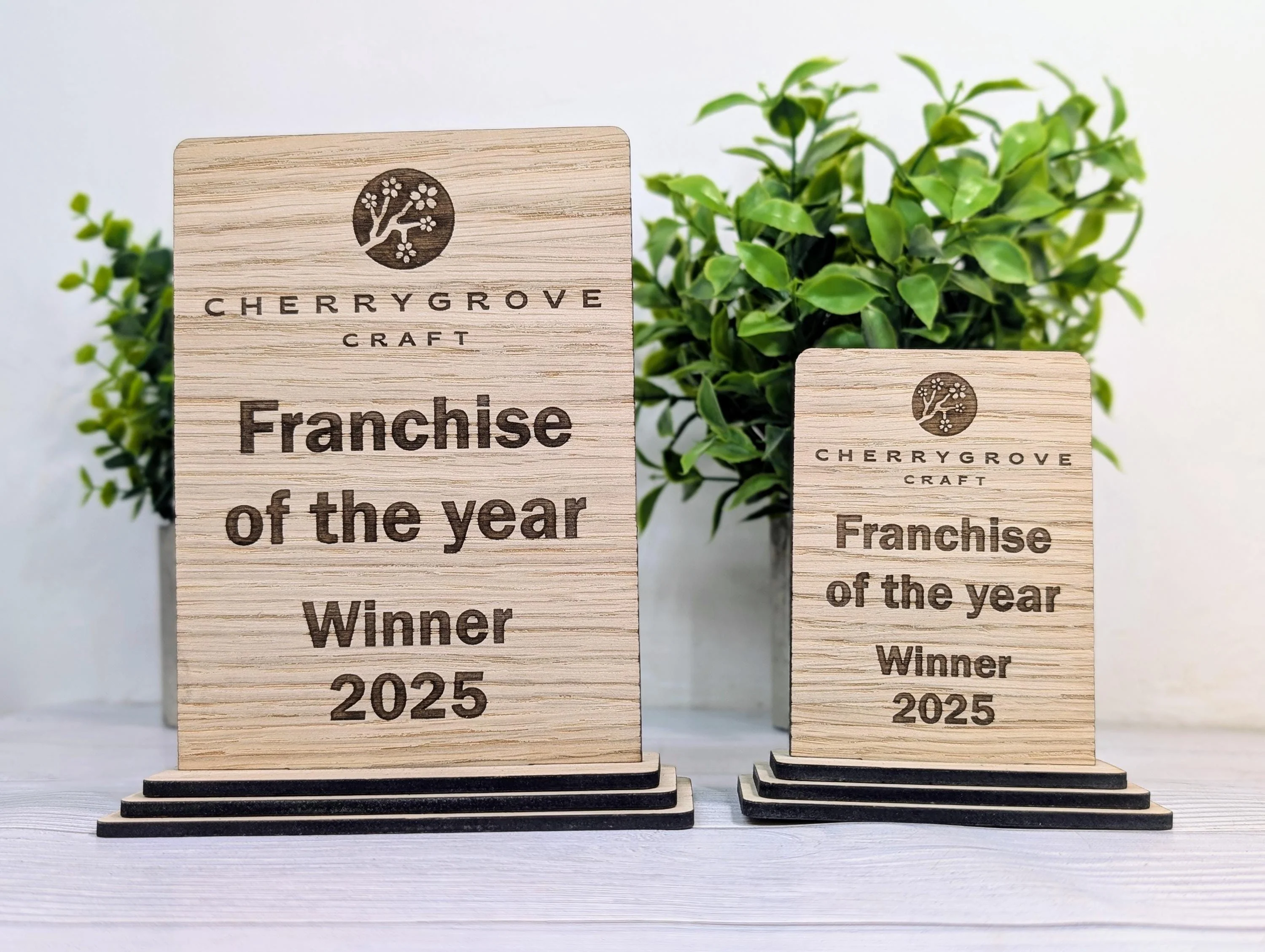 Freestanding Wooden Business Award Trophy – Custom Text & Logo – Franchise of the Year Example – Eco Friendly, Flat Pack, 2 Sizes - Image 2