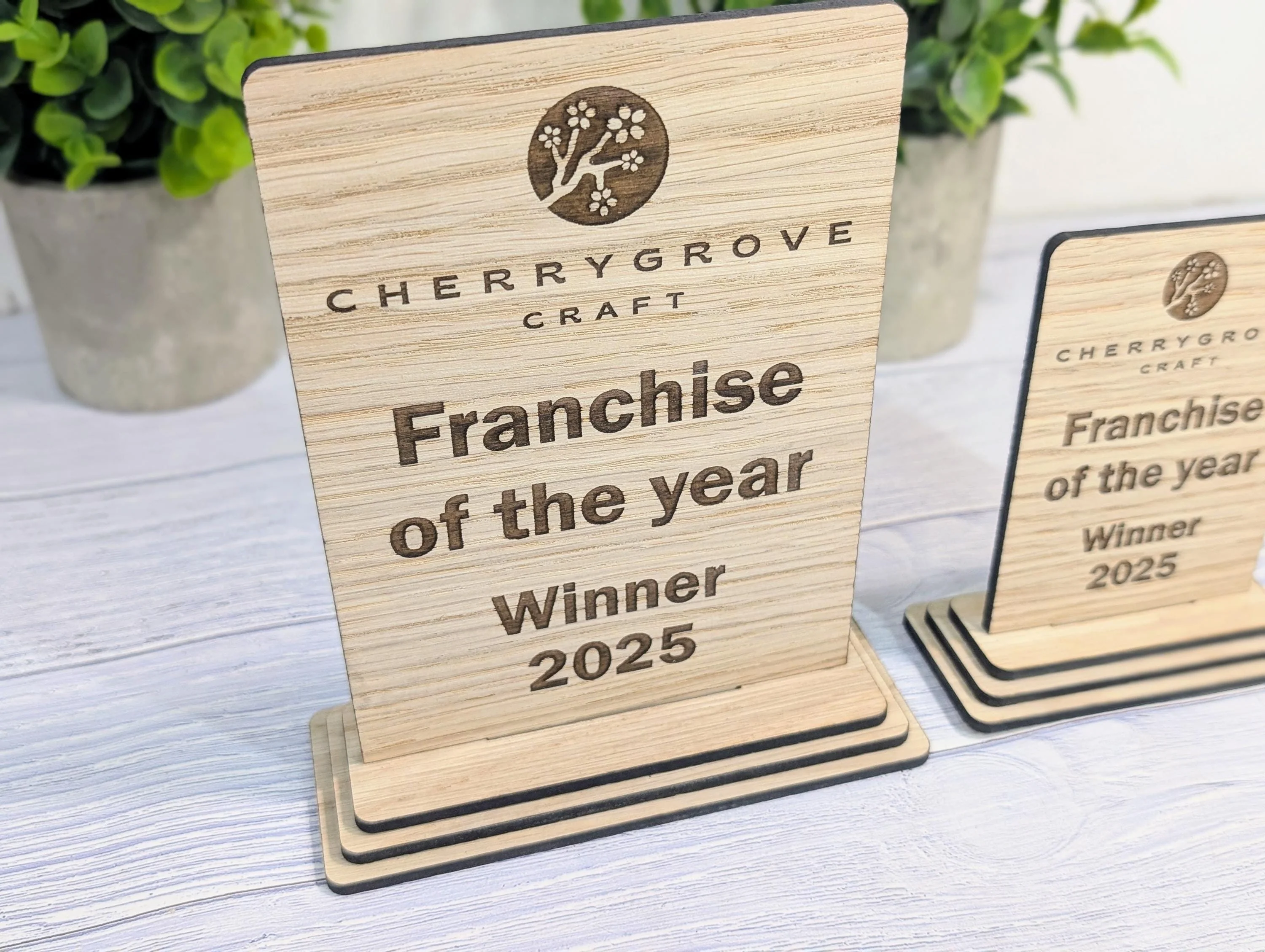 Freestanding Wooden Business Award Trophy – Custom Text & Logo – Franchise of the Year Example – Eco Friendly, Flat Pack, 2 Sizes - Image 3