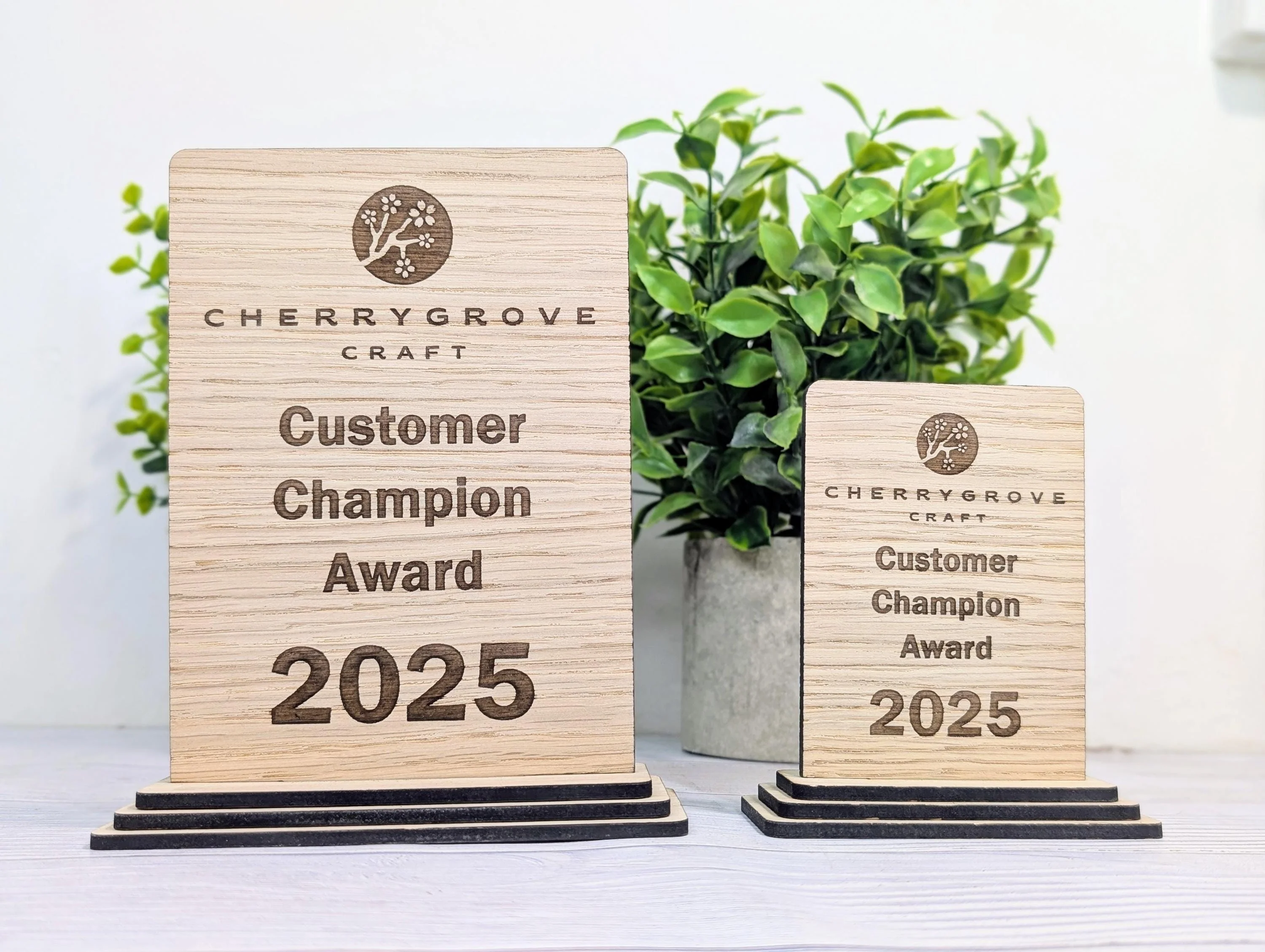 Freestanding Wooden Customer Champion Award – Custom Text and Logo – Oak Finish, Flat Pack Trophy – Eco Friendly Display, 2 Sizes - Image 4