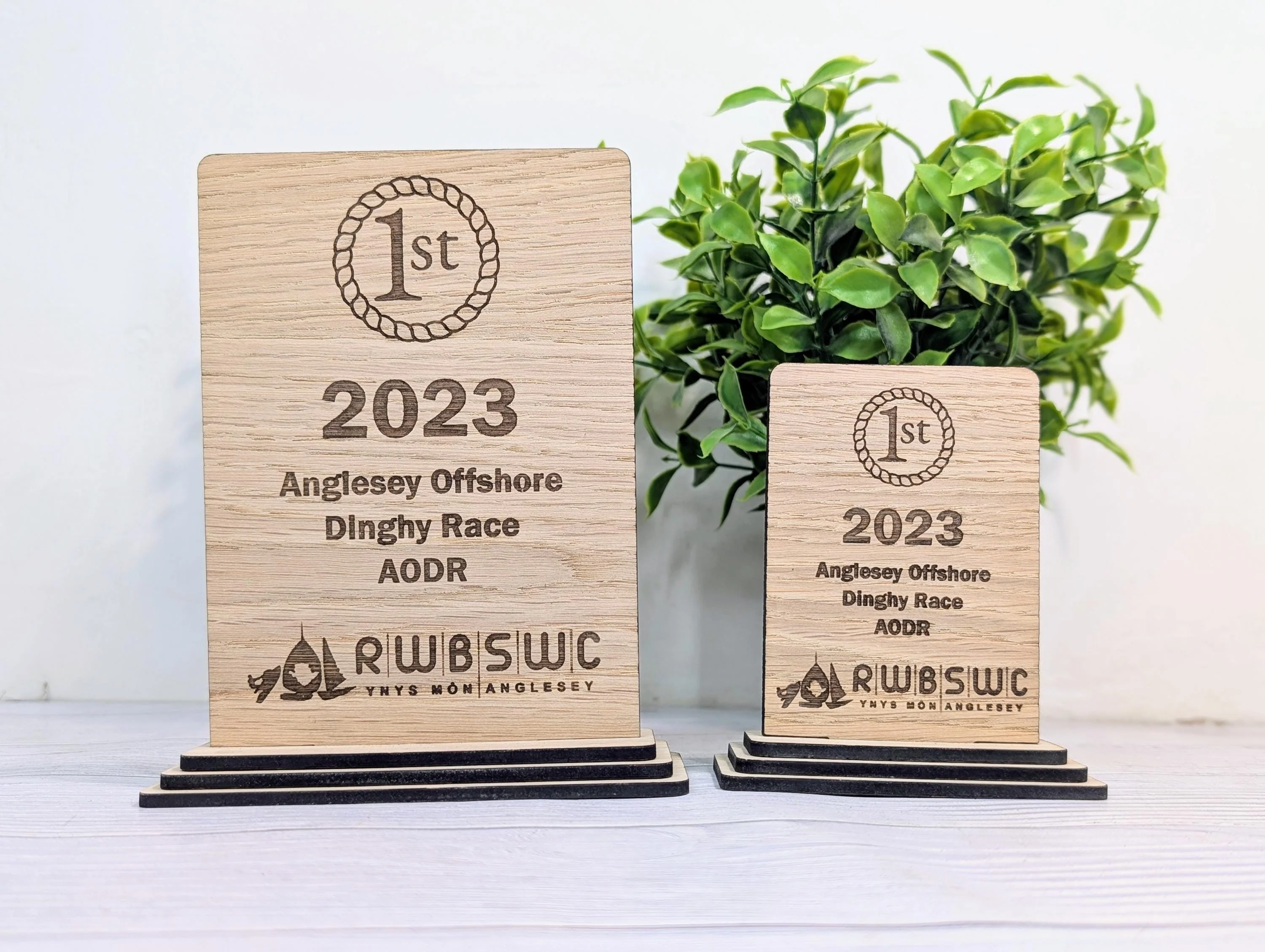 Freestanding Wooden Sports Award Trophy – Custom Text and Logo – Football, Rugby, Sailing, Netball, Cricket – Eco Friendly, 2 Sizes - Image 2