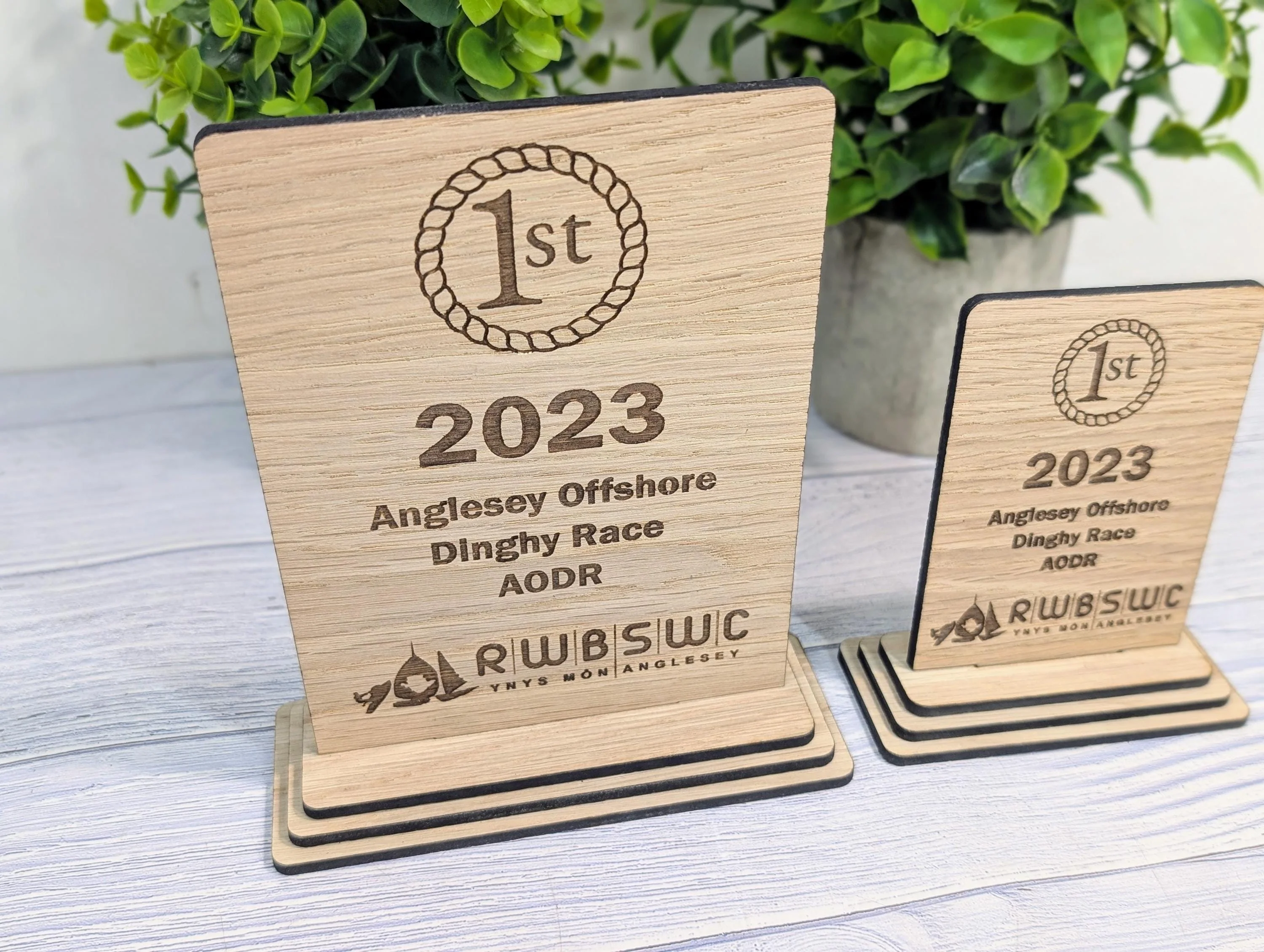 Freestanding Wooden Sports Award Trophy – Custom Text and Logo – Football, Rugby, Sailing, Netball, Cricket – Eco Friendly, 2 Sizes - Image 3