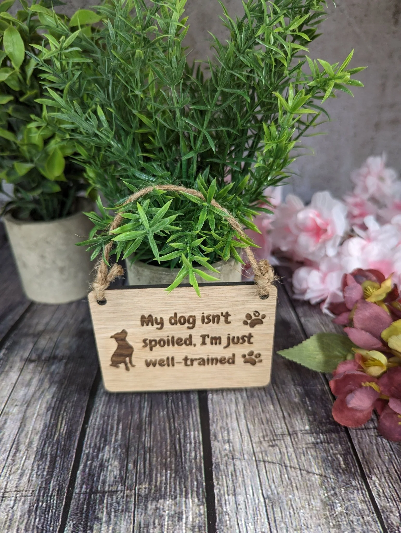 My Dog isn't Spoiled, I'm Just Well Trained - Wooden Sign | Wooden Hanging Sign for Dog Lovers | Doggy Birthday Gift | Bar Sign | Door Sign - Image 4